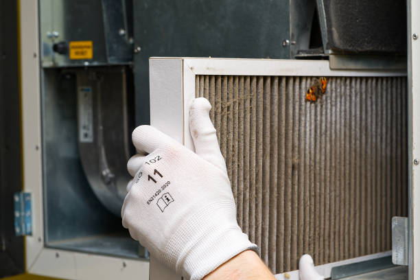 Best Professional Duct Cleaning Services  in Cold Spring, MN